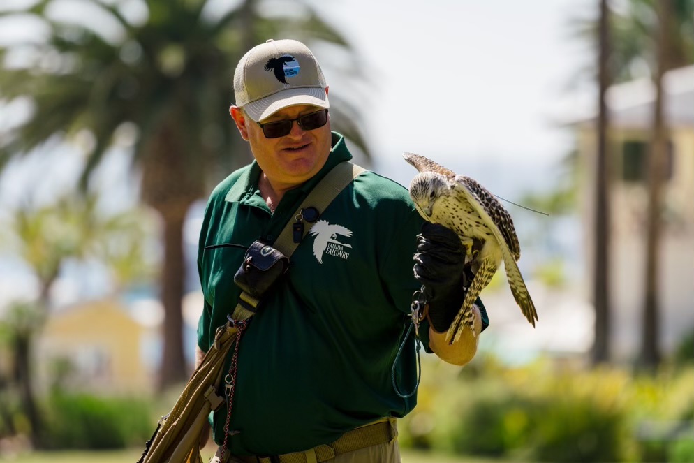 Best KidFriendly Activities on Catalina Catalina Dream Vacations