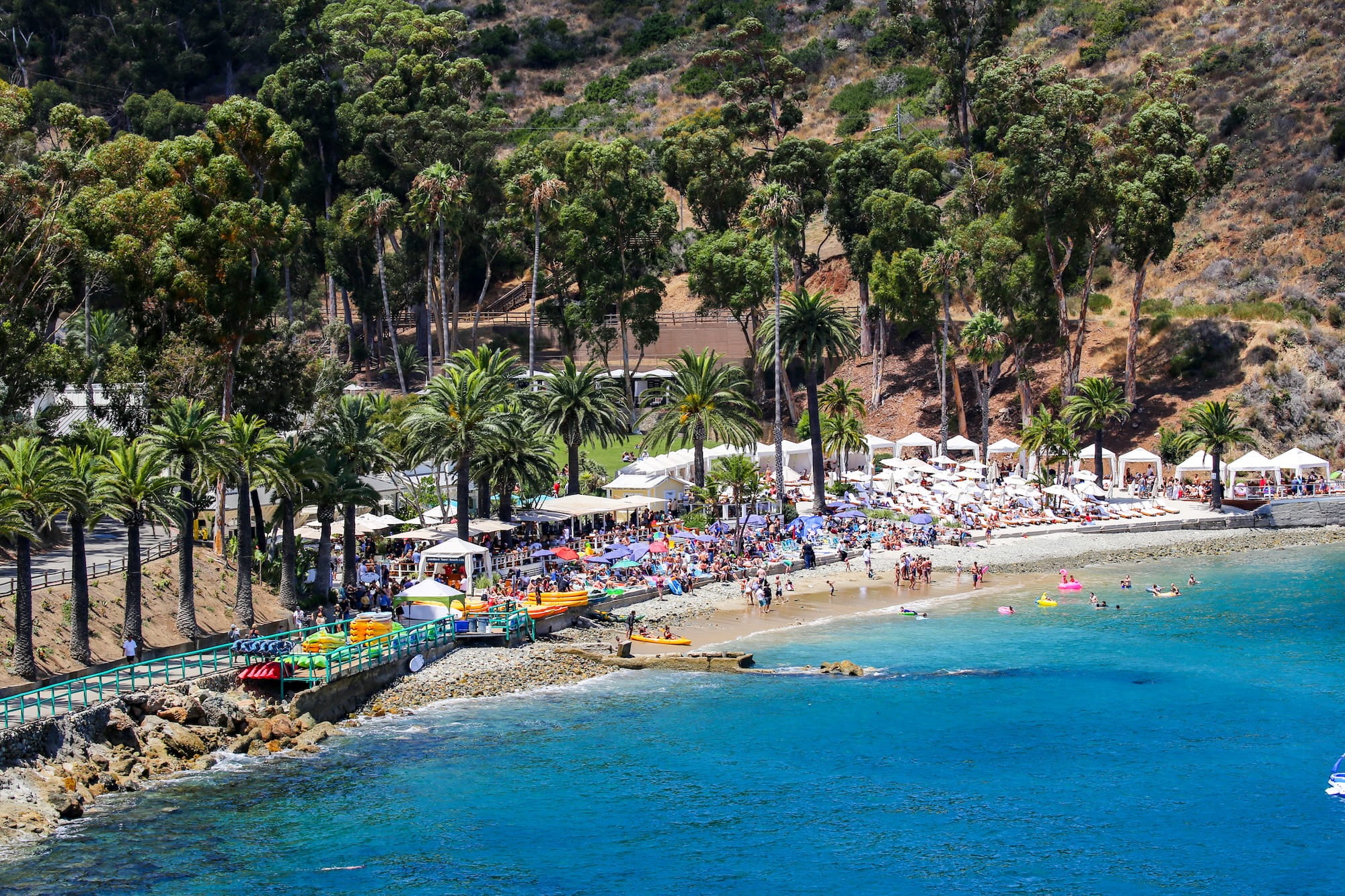 26 Unforgettable things to do in catalina island in 2026